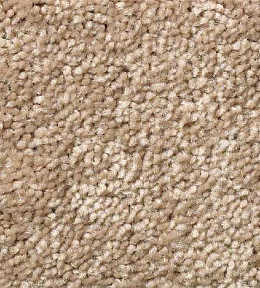 Textured Solid 107